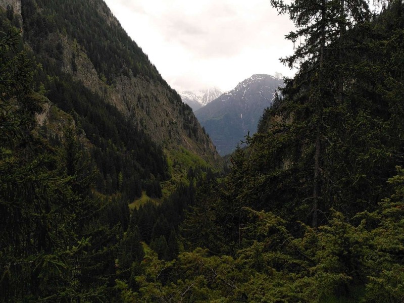 1684689127337